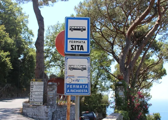 Casa * 马萨鲁布朗斯